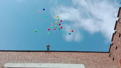 Облако разноцветных шариков 10 цветов 50 штук купить в Москве - заказать с  доставкой - артикул: №1417