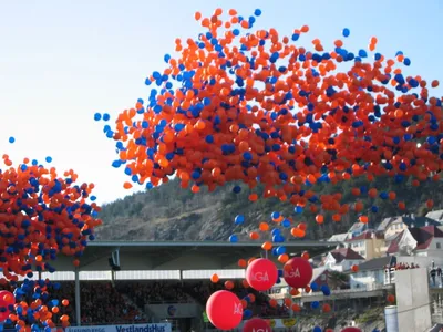 Круглые воздушные шары, арка, пластиковая рамка «сделай сам» для венка,  держатель, подставка для воздушных шаров, круглая основа для детского  праздника, дня рождения, вечеринки, свадьбы | AliExpress