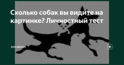 Сколько собак на картинке ? | No Pasaran | ВКонтакте