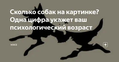 Пы.Сы. / сквозь время :: сколько собак? :: длиннопост :: собаки :: фэндомы  / картинки, гифки, прикольные комиксы, интересные статьи по теме.