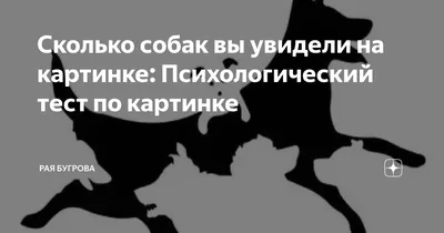 BB.lv: Сколько собак вы видите на картинке? (Выясняем ваш психологический  возраст)