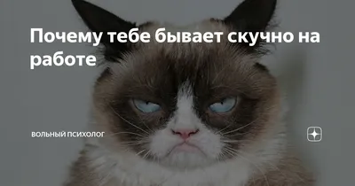 Уважаемые друзья, а на вашей работе так же прикольно общаются? / Писец -  приколы интернета