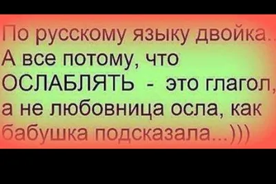 Смешные фразы: истории из жизни, советы, новости, юмор и картинки — Все  посты, страница 4 | Пикабу