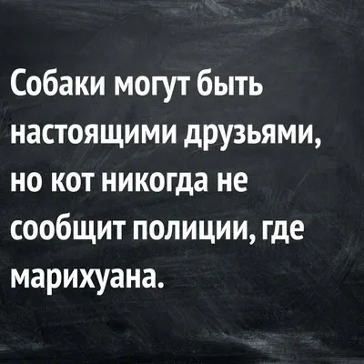 Жванецкий — цитаты о жизни, женщинах, отношениях, про умных — мудрые смешные  афоризмы и мемы в картинках