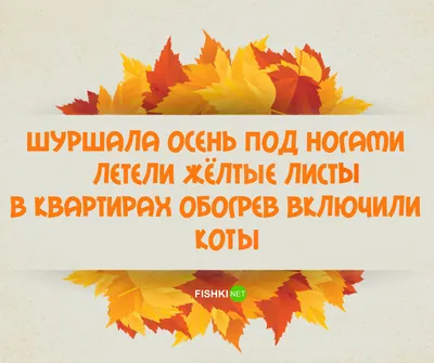 17 лучших стишков-пирожков и порошков об осени