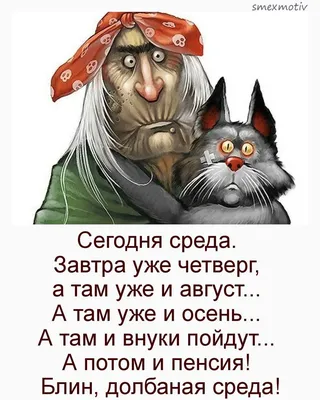 Вот и конец лета...» - 7 смешных и одновременно грустных комиксов об  уходящих теплых деньках | Смешные картинки | Дзен