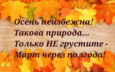 Осень пришла и в наши края / листья :: Осень / смешные картинки и другие  приколы: комиксы, гиф анимация, видео, лучший интеллектуальный юмор.