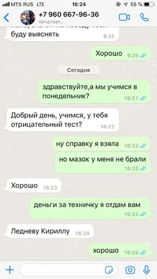 Общаюсь с не в меру любопытной сестрой своей жены. / любопытство ::  whatsapp / смешные картинки и другие приколы: комиксы, гиф анимация, видео,  лучший интеллектуальный юмор.