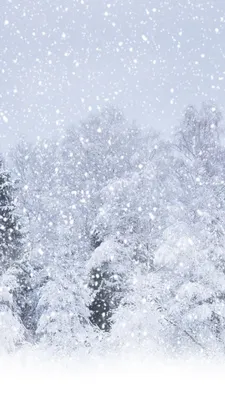Наклейки на телефон «Снег -это волшебство», 8 × 14 см купить в Чите  Наклейки в интернет-магазине Чита.дети (7695958)