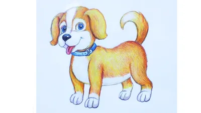 Картинки по запросу собака на прозрачном фоне | Blad tekening, Bladkunst,  Activiteiten