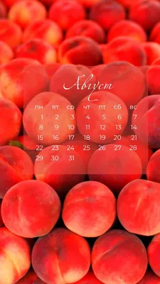 Заставка на телефон | Календарь на август, Обои для телефона, Цветущие  деревья