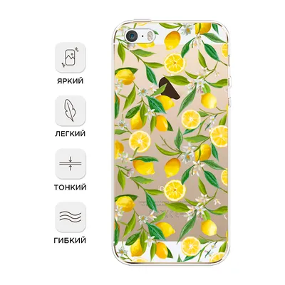 Красивые обои на телефон фрукты - фото и картинки: 65 штук