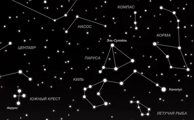 В ночном небе можно найти созвездие \"Корма\" - Зара над Сожам