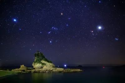 Иллюстрация Созвездия Большого Пса Ночном Небе Использована Вашего Дизайна  стоковое фото ©Tallula04 478259362