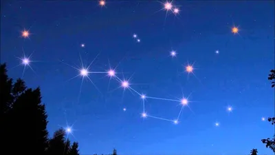 Созвездия на небе | Зодиакальные созвездия | Сколько созвездий на небе |  Что такое созвездие | Star Walk