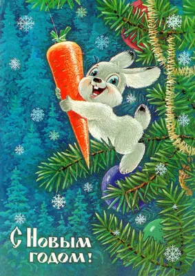 Ёжики и олимпийский мишка: С Новым годом из прошлого | Новости Таджикистана  ASIA-Plus