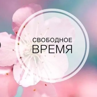 Pilka_studiya - 💜Девочки💜 Ждём Вас!🥰 Свободные места на маникюр/педикюр:  • ПН 10/02- 12:00; 16:00; 18:00 ВТ 11/02 - 10:00; 12:00; 14:00; 16:00;  18:00 СР 12/02 - 10:00; 12:00; 14:00; 16:00; 18:00 ЧТ