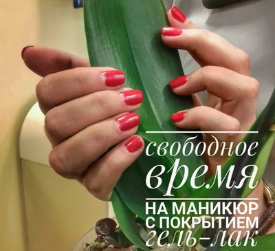 Свободные места на неделю 4.07 - 13:00 14:00 15:00 5.07 - 10:00 11:00 20:00  6.07 - 10:00 11:00 12:00 14:00 7.07 и 8.07 все… | Визитки салона, Здоровые  ногти, Ногти