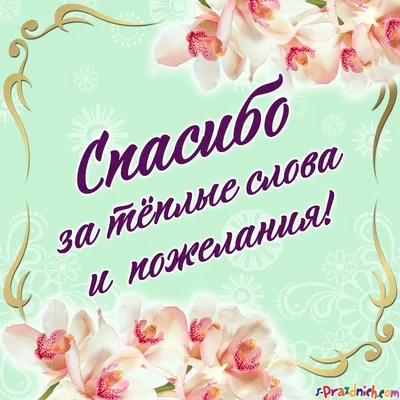 Автор паблика «че гуглит татар кызы» во «ВКонтакте» — о сохранении языка и  шутках на татарском | Enter