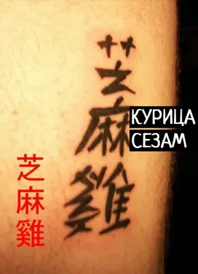 Японские и китайские иероглифы с переводом — значение на русском |  Китайские иероглифы, Лилия татуировки, Дизайн татуировок