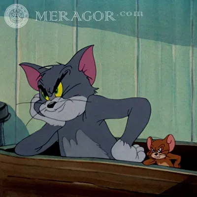 MERAGOR | Том и Джерри на аватар