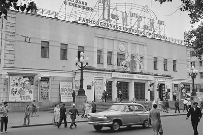 Московский Цирк Никулина, Москва - «Цирк на Цветном бульваре. Где лучшие  места. Схема зала с фото.» | отзывы