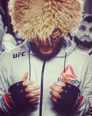 Хабиб Нурмагомедов on Instagram: “🦅 #ufc229 Напиши в комментарий по буквам  слово «Хабиб» и получи лайк👌 ❤️Лайк на ф… | Смешанные боевые искусства,  Кикбоксинг, Юфс