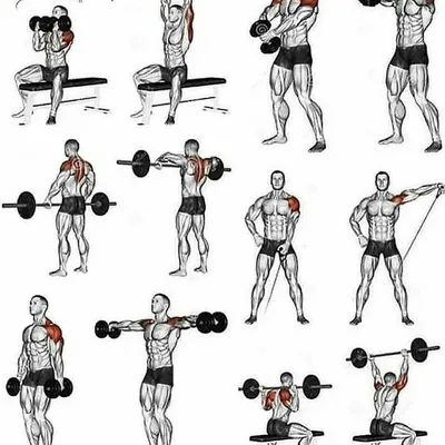 10 упражнений для спины, эффективность которых подтверждена учёными -  Лайфхакер
