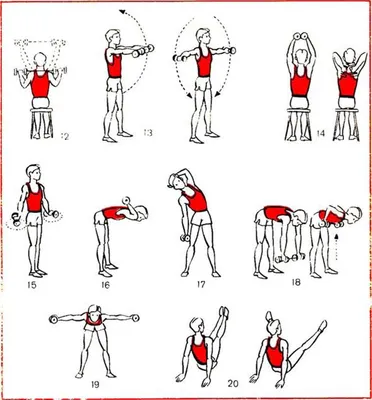 Упражнения на Плечи » Упражнения в Картинках » Физкультура