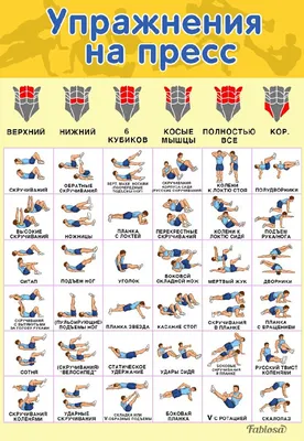 Как правильно качать пресс: список упражнений для прокачки пресса в  домашних условиях и в зале - Чемпионат