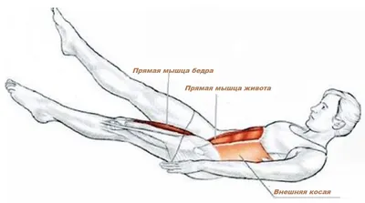 Как накачать пресс: упражнения в домашних условиях и тренажерном зале - РИА  Новости Спорт, 07.06.2022