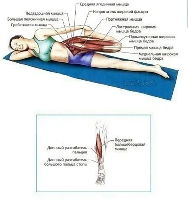 Картинки по запросу растяжка в паре | Упражнения, Здоровье, Растяжка