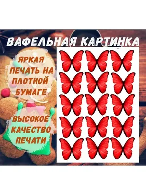 ВЕСЕЛЫЙ ПРЯНИК Вафельная картинка Как приручить дракона A4