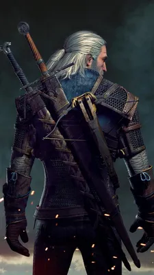 The Witcher Wallpaper For Phone HD | 2020 Phone Wallpaper HD | The witcher,  The witcher game, The witcher wild hunt