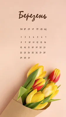 Фон рабочего стола где видно сирень, весенние обои, весна, цветы, веточка,  природа, скачать, lilac, spring wallpaper, spring, flowers, twigs, nature  download