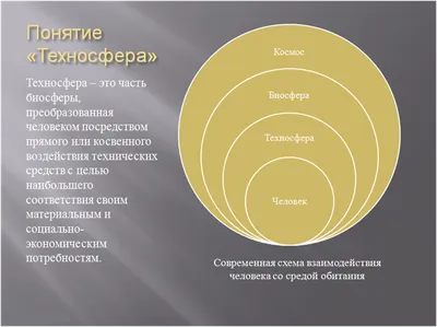 Биосфера и ноосфера Владимир Вернадский - купить книгу Биосфера и ноосфера  в Минске — Издательство АСТ на OZ.by