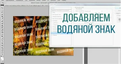 Что такое водяной знак и как его сделать для фото и изображения?