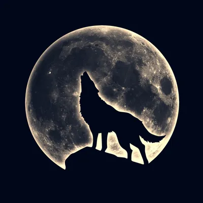 Купить картину Волк воет на луну на стену от 530 руб. в DasArt