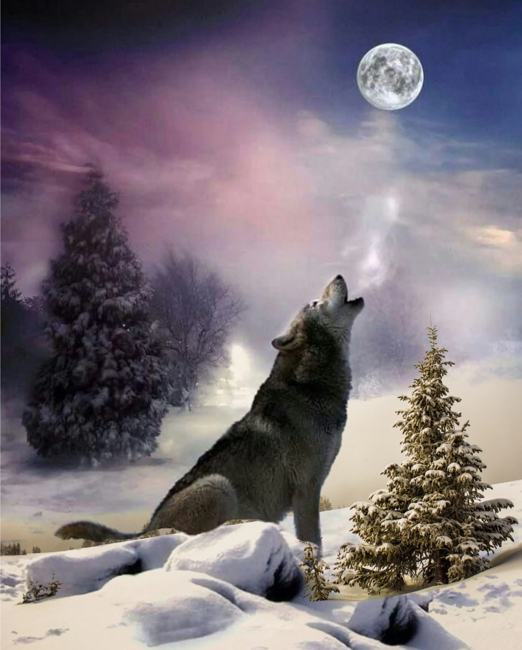 Хоть вой. Воющий волк. Волк воет на луну. Волк и Луна. Волк в ночи.