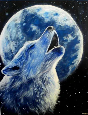 Почему волки воют на Луну? | Вокруг Света