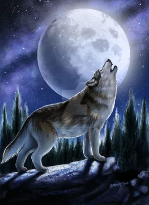Воет ли волк на луну? | Сказочные Озерки | Дзен