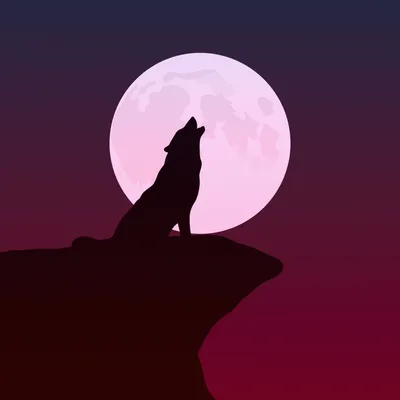 Работа — Волк воет на Луну, автор Икупчейвуна Алина Петровна