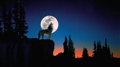 Волк воет на луну, фото …» — создано в Шедевруме