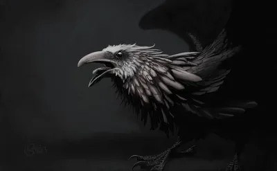Картинка на рабочий стол ворона, ворон, крылья, взмах 1920 x 1080