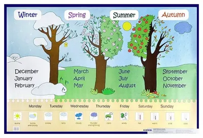 времена года для детей на английском языке | Seasons worksheets, English  lessons for kids, Kindergarten classroom themes
