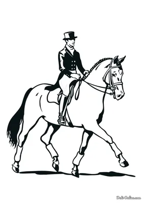 Красивый всадник лошади в костюме Poldark XVIII века регентства Стоковое  Фото - изображение насчитывающей затем, просто: 113305866
