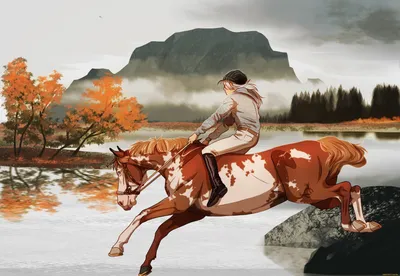 Всадник на лошади стоковое фото. изображение насчитывающей вожжа - 49886524