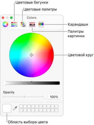 Загадка зрения: почему картинки двигаются – 4 причины оптических иллюзий |  Техно Колибри | Дзен