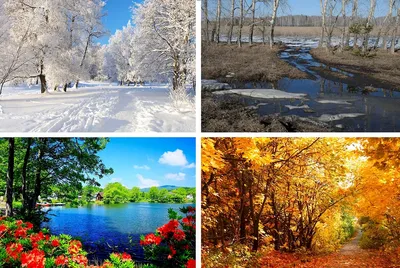 Картинки времена года зима весна лето осень природа для детей (64 фото) »  Картинки и статусы про окружающий мир вокруг