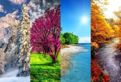 Картинки времена года зима весна лето осень - 81 фото